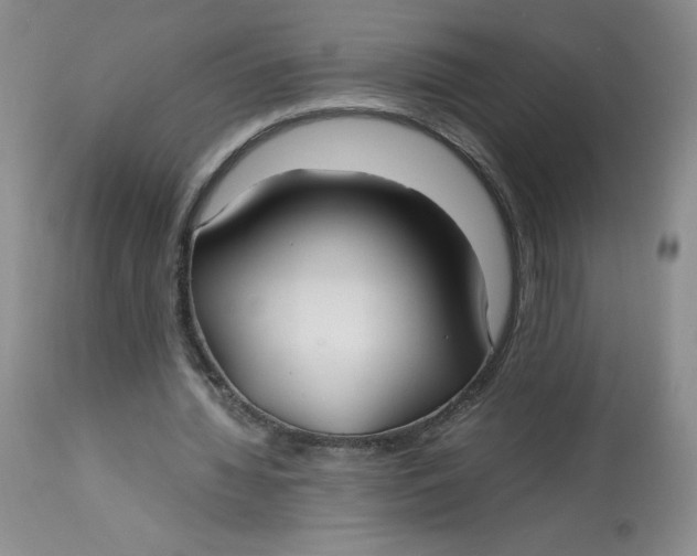 X0000113140436200909251308