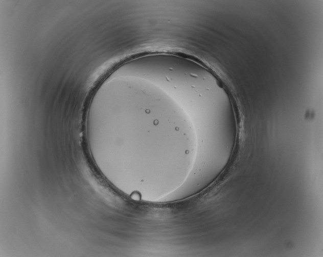 X0000113140438200909251308