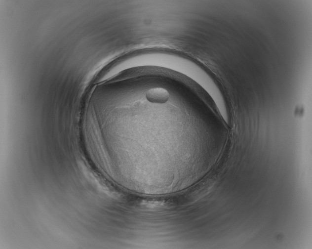 X0000113140440200909251308