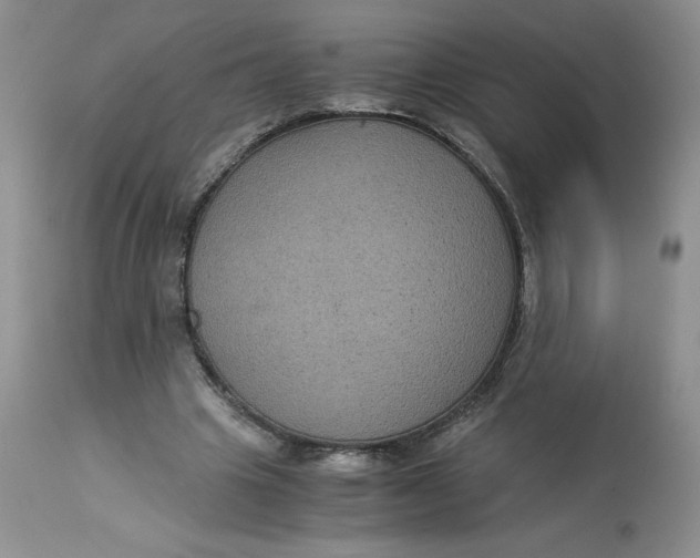 X0000113140441200909251308