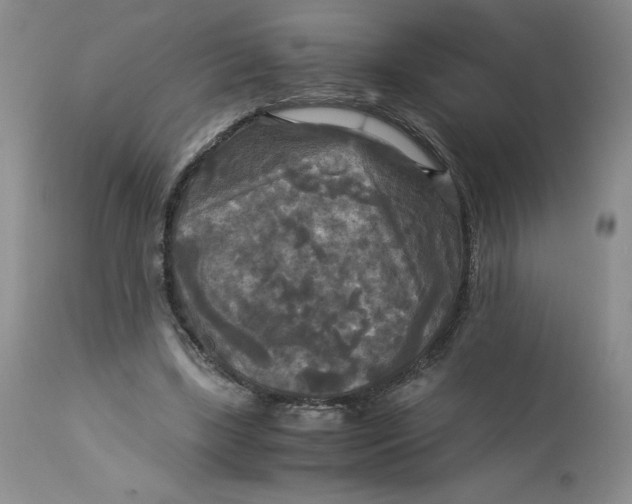 X0000113140443200909251308