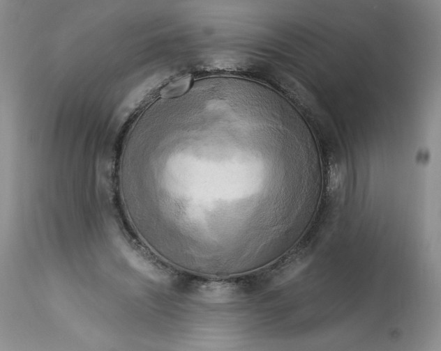 X0000113140444200909251308