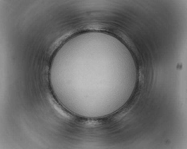 X0000113140445200909251308