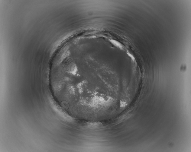 X0000113140446200909251308