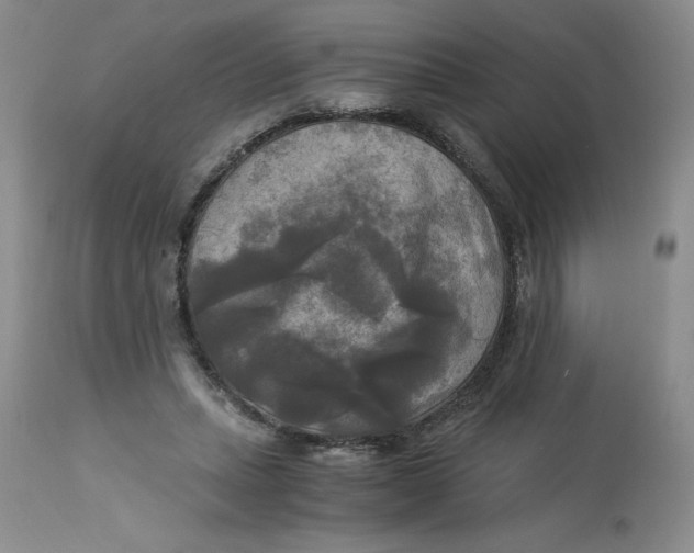 X0000113140447200909251308