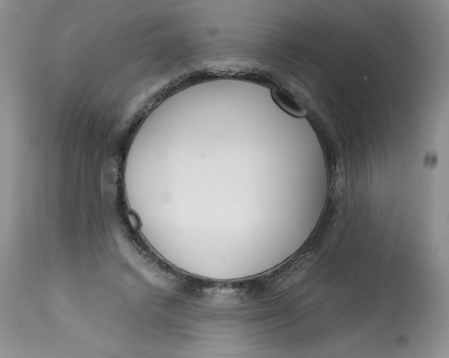 X0000113140448200909251308