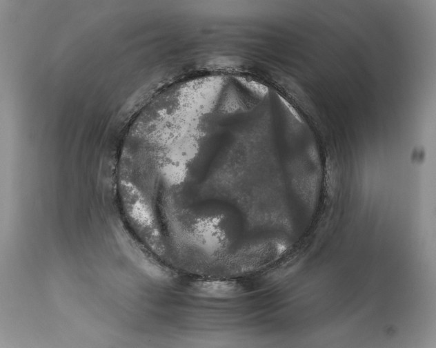 X0000113140449200909251308