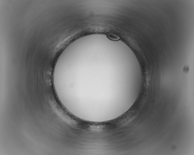 X0000113140450200909251308