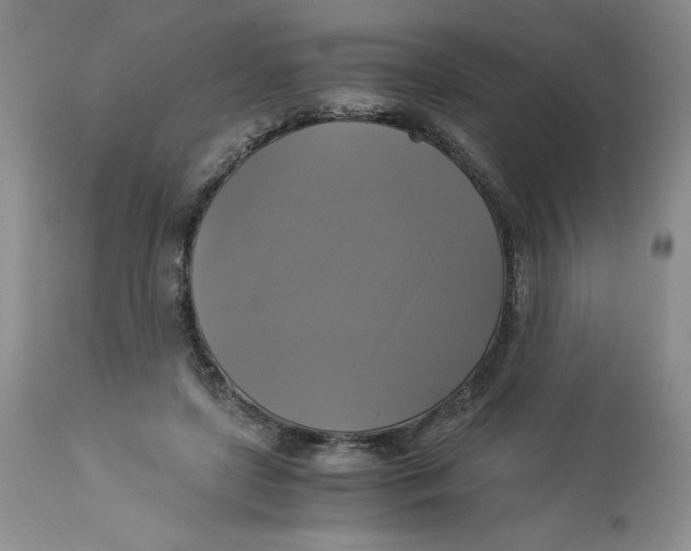 X0000113140451200909251308