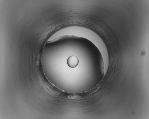 X0000113140452200909251308