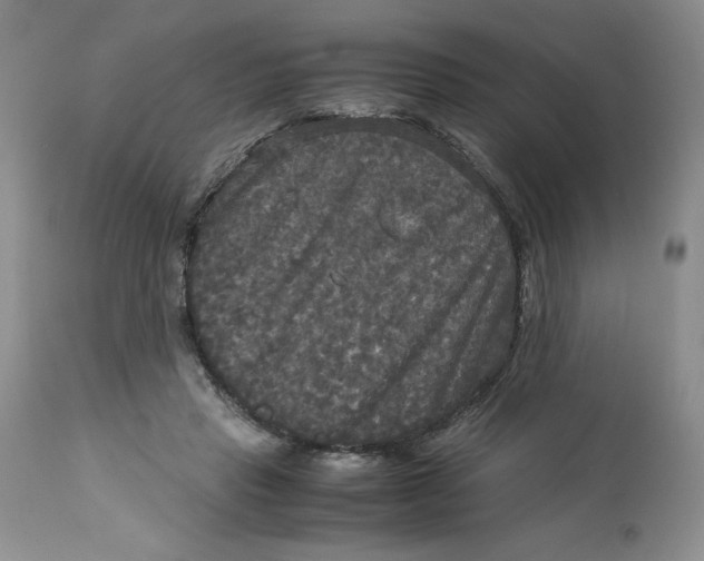 X0000113140453200909251308