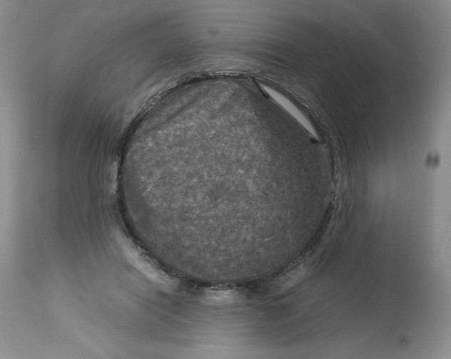 X0000113140454200909251308