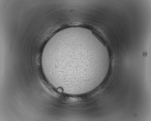 X0000113140455200909251308