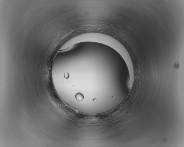 X0000113140456200909251308