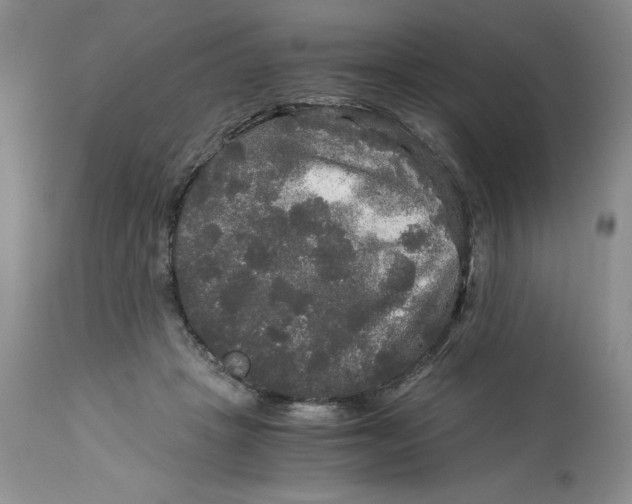 X0000113140457200909251308