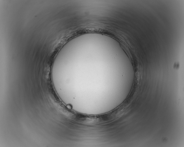 X0000113140458200909251308