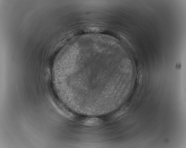 X0000113140459200909251308