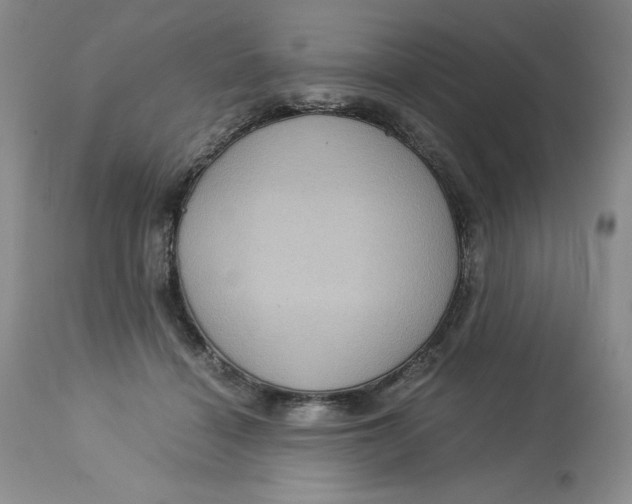 X0000113140460200909251308