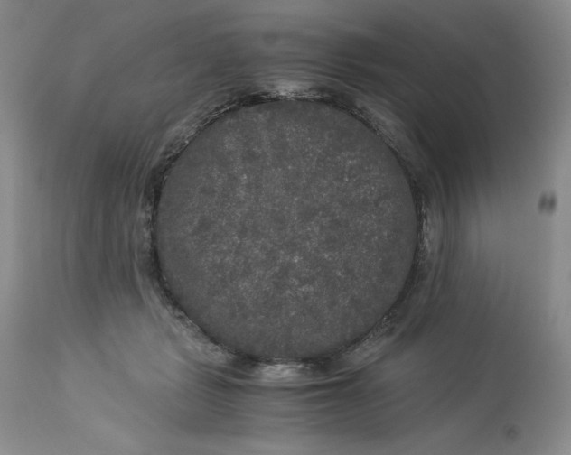 X0000113140461200909251308