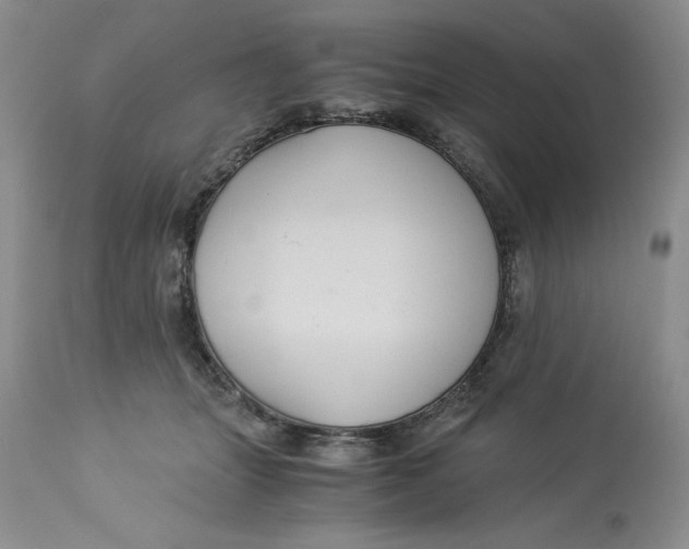 X0000113140463200909251308