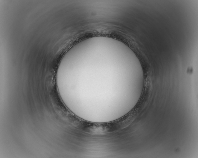 X0000113140464200909251308