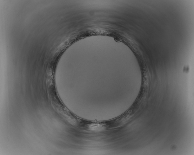 X0000113140465200909251308