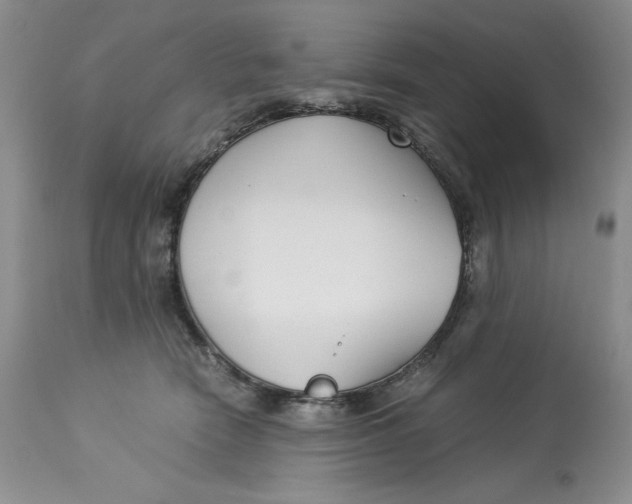 X0000113140466200909251308