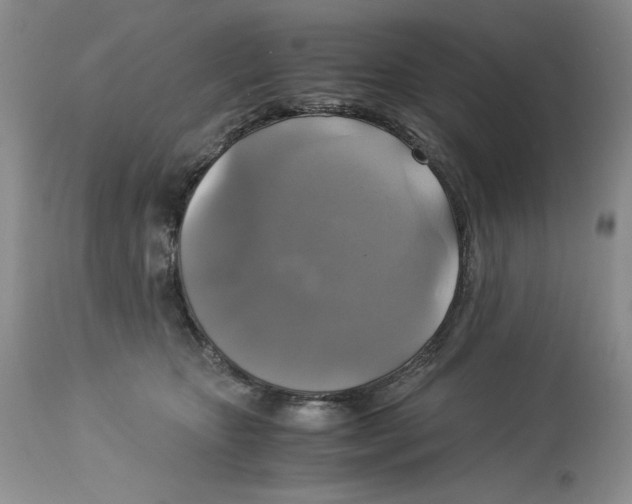 X0000113140467200909251308