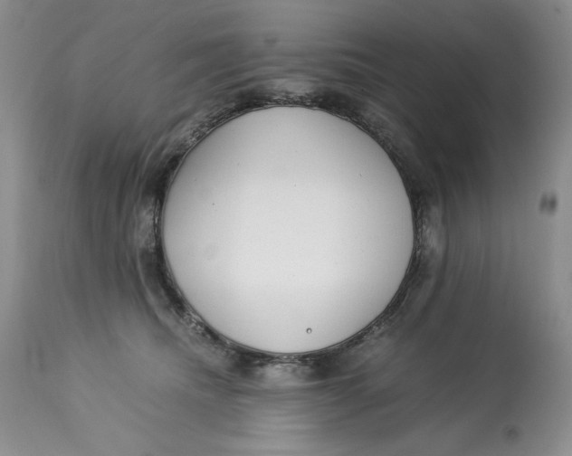 X0000113140468200909251308