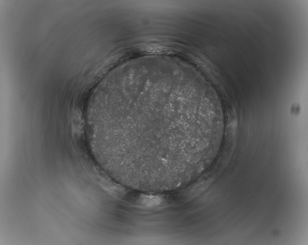 X0000113140469200909251308