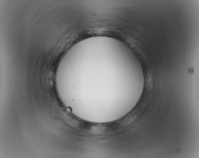 X0000113140470200909251308