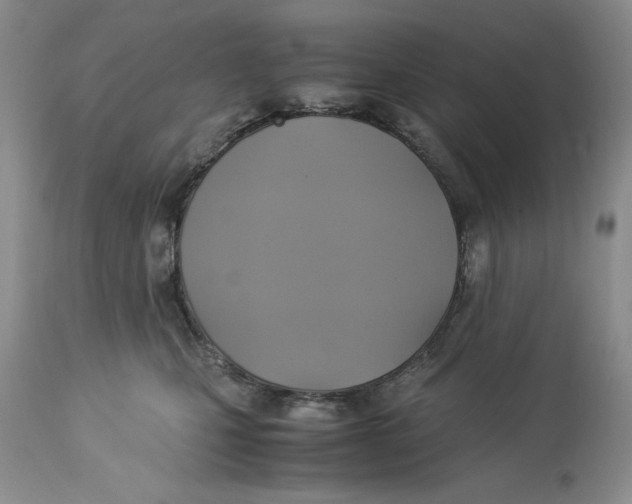 X0000113140471200909251308