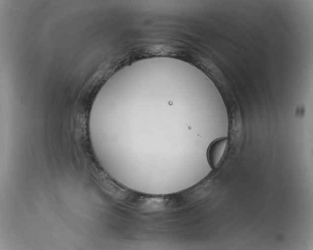 X0000113140473200909251308