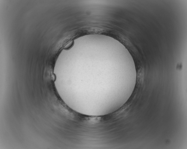 X0000113140474200909251308