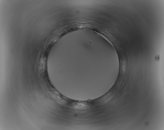 X0000113140475200909251308