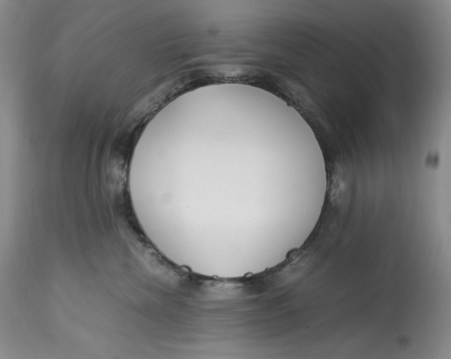 X0000113140476200909251308