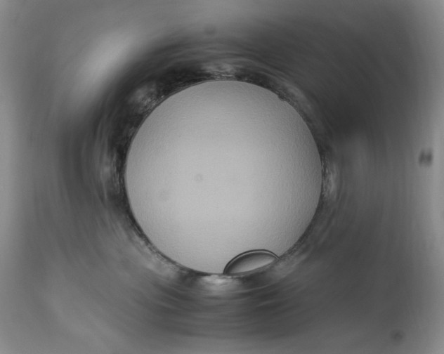 X0000113140477200909251308