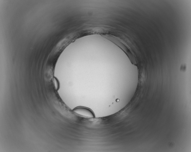 X0000113140478200909251308