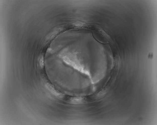 X0000113140479200909251309