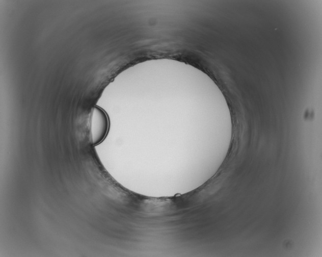 X0000113140480200909251309