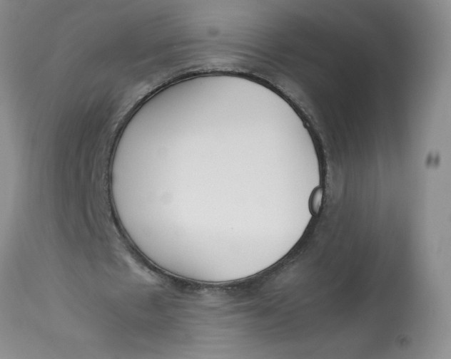 X0000113140481200909251308