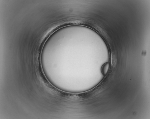 X0000113140483200909251308