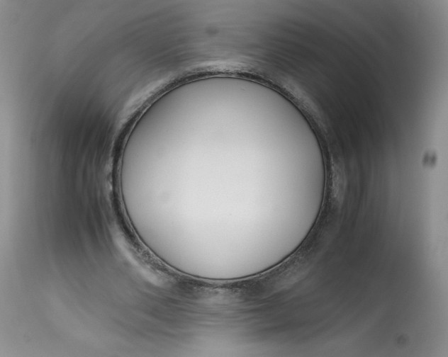 X0000113140486200909251308