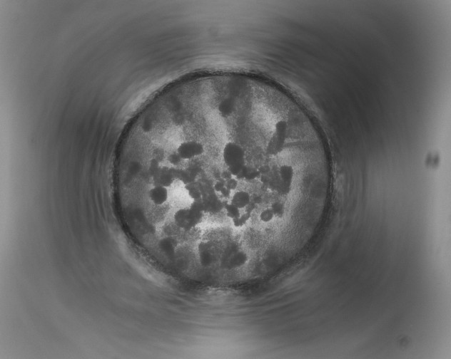 X0000113140487200909251308