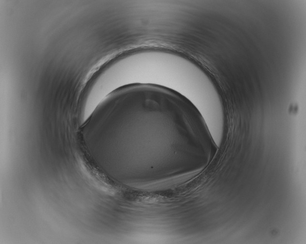 X0000113140488200909251308