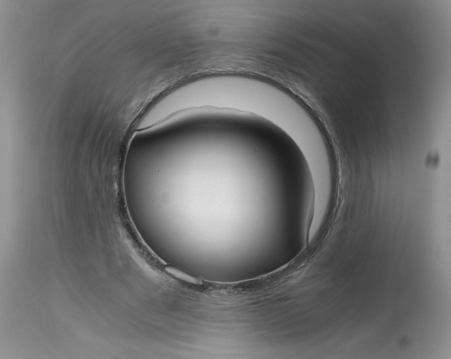 X0000113140489200909251308