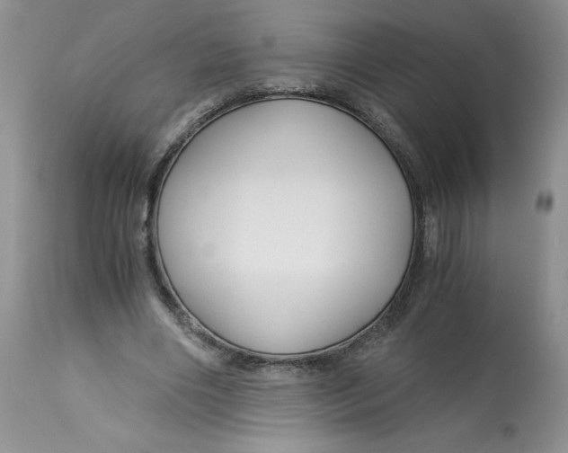 X0000113140490200909251308