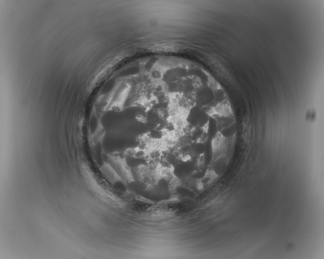 X0000113140491200909251308