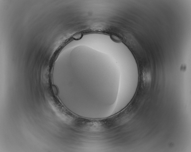 X0000113140492200909251308