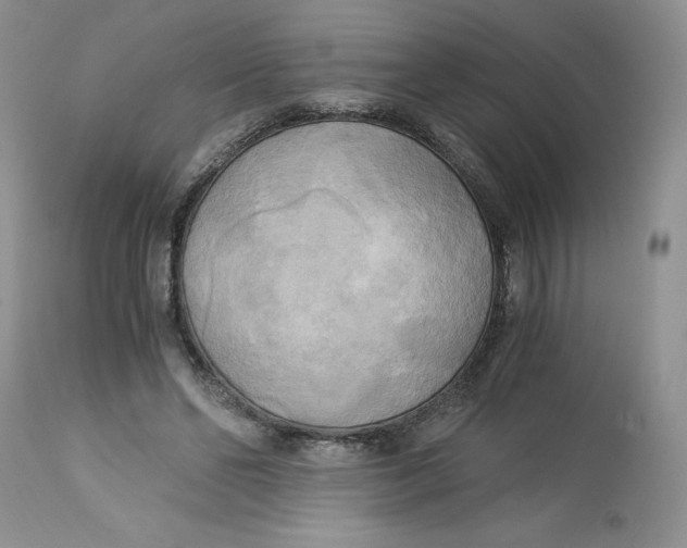 X0000113140494200909251308